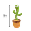 Singing and Dancing Cactus