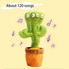 Singing and Dancing Cactus